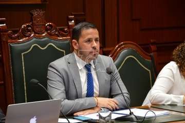 Pleno ordinario de febrero de 2020 (Foto TA)